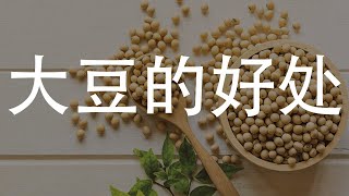 大豆的益处：探索这一多功能植物食物的健康利益