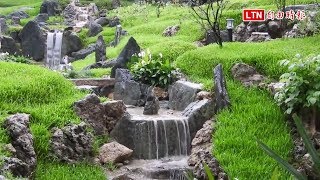 台南公園流瀑雨中通水 重現百年前風貌