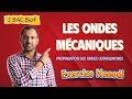 2BAC Biof | Les Ondes -Propagation des ondes ultrasonores: Exercice + Correction-avec Pr. Noureddine