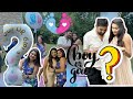 PART 2 DHARA ne finally baby girl or baby boy avase good news madi gaya #vandanavlogs