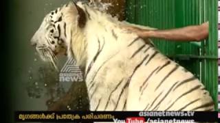 Intense heat in Kerala: Special treatment for animals in Trivandrum zoo