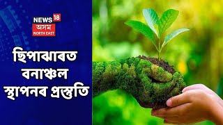 Sipajhar News | ছিপাঝাৰৰ বৈৰাগীঝাৰ গাঁৱত বনাঞ্চল স্থাপনৰ প্ৰস্তুতি