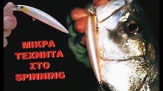 Μικρά Τεχνητά Στο Spinning. Πόσο Σημαντικά Είναι; feat SHORELINE SHINER Z SETUPPER SLIM 95s