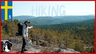 Hiking Alone The High Coast of Sweden! Höga Kusten Trail Skuleskogen ep03