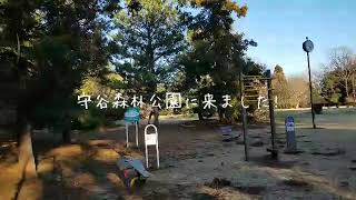 守谷森林公園に来ました!