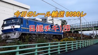 今日の8090レ(レール輸送) EF210-338[吹]＋日鐵チキ12B 2022/11/07 東海道本線