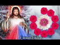 coronilla a la divina misericordia de hoy jueves 16 de enero 2025 🕊️ rosario divina misericordia💖