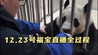 2024.12.23福宝第二次直播全过程，看看福宝的状态如何？徐奶爸对福宝了解程度是多少？