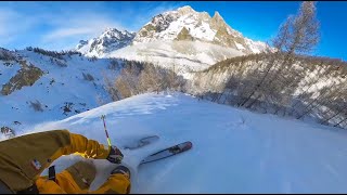 Italian Tree Skiing Powder Snow in Larch Trees