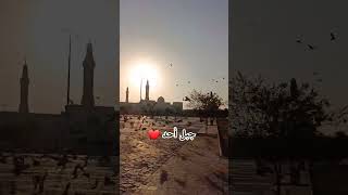 أجمل منظر شروق قرب جبل أحد ❤️