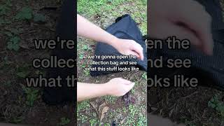 How To Use a Chipper Shredder #shorts #tools