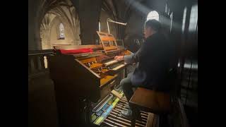 Scherzo Improvisée - David Briggs plays the Cavaillé-Coll organ at the Basílica de Begoña, Spain.