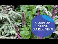 Common Sense Gardening: Cleaning the Garden