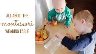 Montessori Weaning Table | Montessori At Home