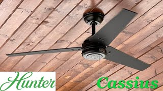 52” Hunter Cassius Ceiling fan