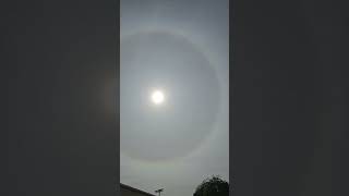 Natural Phenomenon  in our sky 🌞 Sun Halo wear proper 👓 #sky Southern  CA