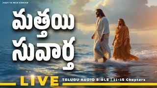 📖మత్తయి సువార్త తెలుగు ఆడియో బైబిల్ | Gospel Of Matthew Chapters 11-15 | @manarakshakudu