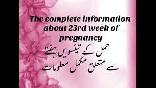 Pregnancy At 23rd Week ||The Complete Mother's Guide About 23 Week Of Pregnancy||