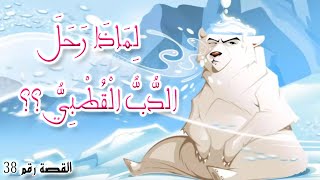 ✨ لماذا رحل الدب القطبي | Toon Story Network | القصة رقم 38 | المستوى الثالث