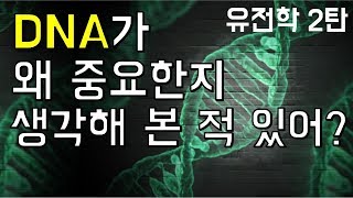 도대체 DNA는 왜 그렇게 중요한 걸까?｜유전학 여행기-2탄