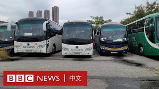 從跨境到旅遊　通關後數以千計的香港巴士如何重新上路？ － BBC News 中文