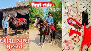 દશેરા અશ્વ મુહરર્ત | first ride with rupal #rupal #dasera #muhrat #horse