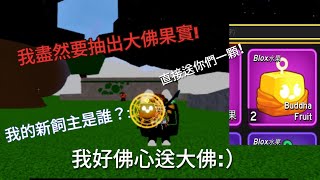 [ROBLOX BLOX FRUIT]來抽獎 抽大佛果實 對新手很友好的果實！幫助練等一級棒!