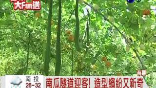 南瓜節登場! 彩色南瓜搭隧道