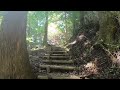 箱根やすらぎの森 神奈川県 の探鳥地レポートです　箱根は野鳥が少ない そんなこと言ったの誰だー！　2024年10月上旬