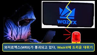 와저르엑스(WRX)는 붕괴되고 있다. 인도 코인 시장 대위기 [WazirX]