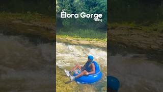 🇨🇦The Elora Gorge Tubing Experience 🇨🇦 #vlog #adventuresport #todotoronto #shorts #tubing