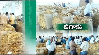 Jaikisan AP | 16th Mar'20 | నెల్లూరు జిల్లాలో పొగాకు రైతుల దిగాలు