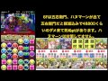 パズドラ三位一体 ヨグ＝ソトースでワンパン！！