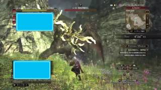 ［DDON ］EM歪みの執行人・限界域。ファイターで勝利。［クリア］