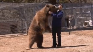 5 Shocking Bear Attacks Caught on Video