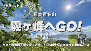 【長野県  登山】霧ヶ峰へGO!　日本百名山　これからの季節におすすめ♪天空のお花畑と美味しいボルシチ🫕を堪能😆　４K