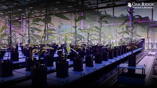 Advancing the Genesis Mission through AI-Enabled Biological Discovery