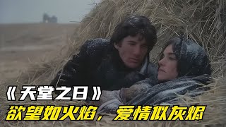 這部電影的片名比名字更美，詩意畫面下的愛情與貪欲故事，讓人深思！ #三角恋情 #上流社会 #爱情结局 #经典爱情 #浪漫电影