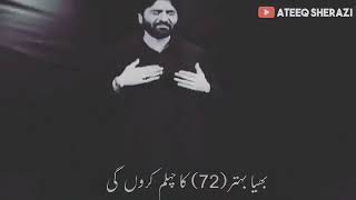 Shah e shaheed e karbala  le lo salam zainab (s.a) ka 😭😭
