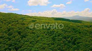 Aerial View Sidehill Covered Deciduous Trees | Stock Footage - Envato elements