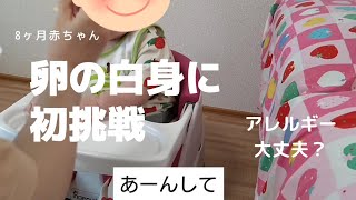 アレルギー大丈夫？【卵の白身】離乳食中期