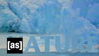 Nature | Off the Air | Adult Swim
