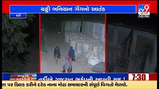 ગાંધીનગર: કડીમાં ચડ્ડી બનિયાન ગેંગનો આતંક,કડી-થોળ રોડ પર આવેલી જીનીંગ અને ઓઇલ મીલમાં લૂંટ | TV9News