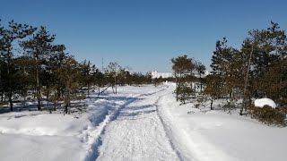 Нижневартовск. Второе городское озеро.