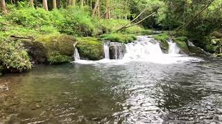 香梅ケ渕（鹿児島市喜入町）