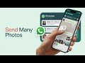 How To Send Multiple Photos On WhatsApp (Step-by-Step Tutorial)