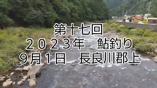 第１７回　鮎釣り　２０２３年　９月１日　長良川　郡上