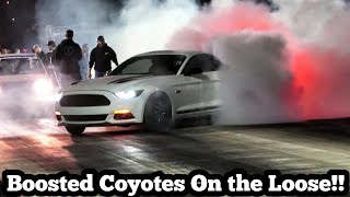 Boosted Coyotes on the Loose!!!