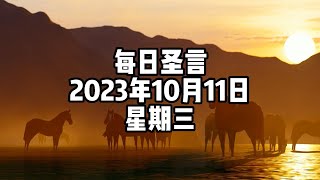 【每日圣言】2023年10月11日 星期三