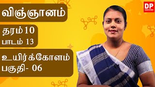 பாடம்  13  -  உயிர்க்கோளம் (பகுதி 06) | தரம் 10 தமிழில்